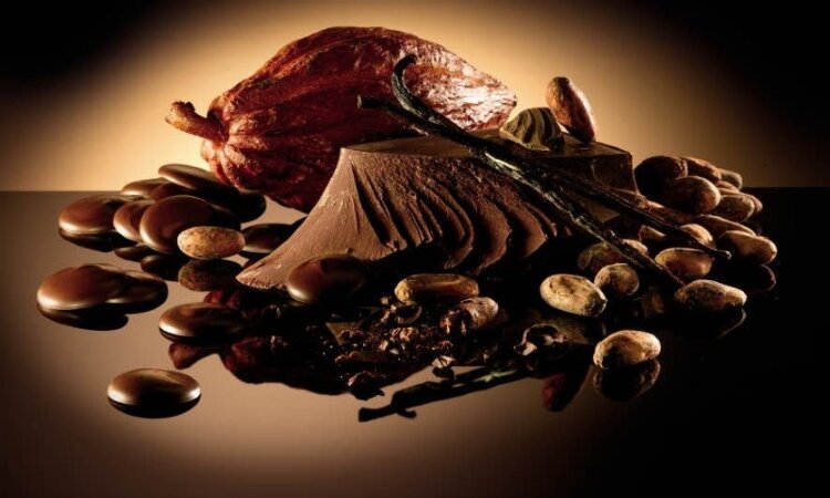Шоколад темный НУАР СЕЛЕКСЬОН, 55% диски, Темный шоколад с прекрасно выдержанной рецептурой и идеальным соотношением между сладким и горьким вкусом. Прекрасно подходит для приготовления декора, разнообразных начинок, кремов, ганашей, кексов и бисквитов.

100% натуральный бельгийский шоколад
уникальный насыщенный вкус
обладает идеальной вязкостью для изготовления шоколадных конфет, плиток, фигур и декора
в качестве ароматизатора используется только натуральная ваниль
производится из тщательно отобранных какао-бобов
