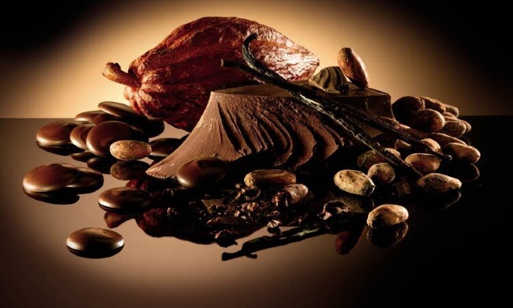 Шоколад темный НУАР СЕЛЕКСЬОН, 55% диски Темный шоколад с прекрасно выдержанной рецептурой и идеальным соотношением между сладким и горьким вкусом. Прекрасно подходит для приготовления декора, разнообразных начинок, кремов, ганашей, кексов и бисквитов.

100% натуральный бельгийский шоколад
уникальный насыщенный вкус
обладает идеальной вязкостью для изготовления шоколадных конфет, плиток, фигур и декора
в качестве ароматизатора используется только натуральная ваниль
производится из тщательно отобранных какао-бобов
